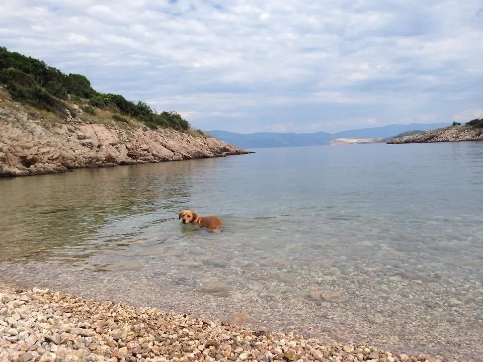 Triglav Studio Apartments Punat
